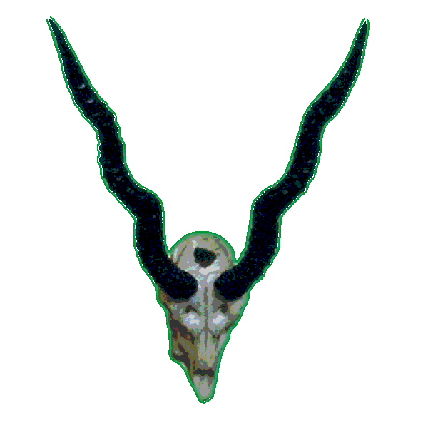 Horn3.gif