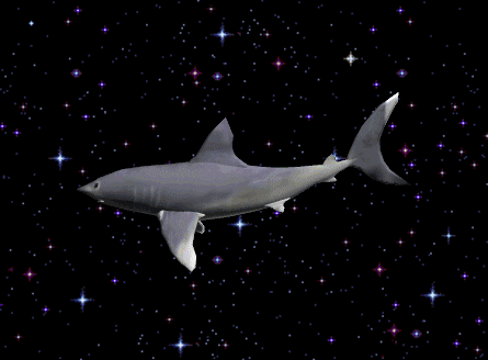 shark_glitter
